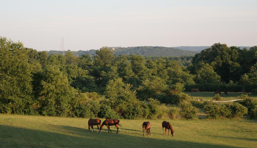 The Inn At Westwynd Farm Hershey Eksteriør bilde